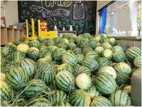 吃瓜观娱乐,吃瓜群众视角下的明星八卦